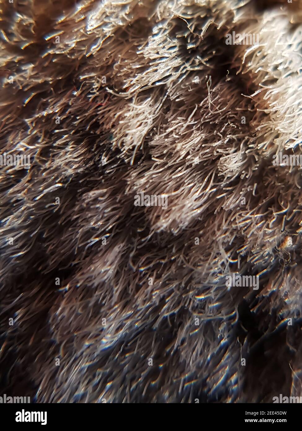 Ein einfacher Haushaltsteppich ganz nah gesehen Stockfoto