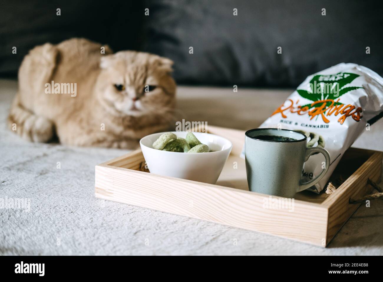 CBD-Esswaren, CBD-infundiert Snacks, Kuchen, Hanfwaffeln mit Cannabis. Testy CBD Snacks in Schüssel auf Leinenstoff natürlichen Hintergrund und Katze in der Nähe Stockfoto
