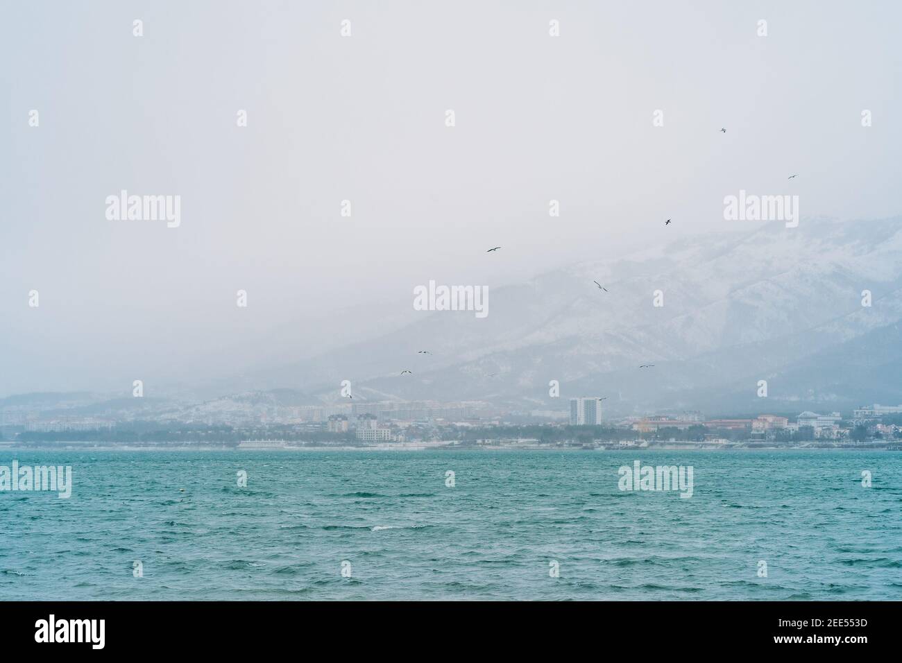 Gelendschik Stadt im Winter bei schneebedecktem Wetter, Berge mit Schnee bedeckt, Wellen und Wind auf Meeresbucht Wasseroberfläche, keine Menschen zu Fuß in der Stadt. Stockfoto