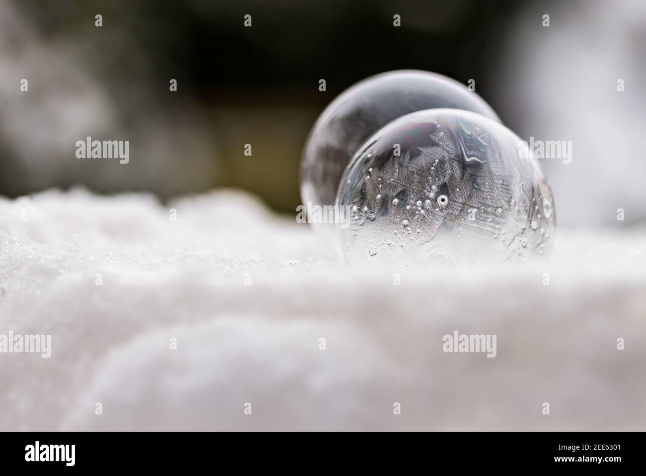 Zwei gefrorene Seifenblasen Einfrieren der niedrigen Temperatur unter Null Auf Schnee Stockfoto