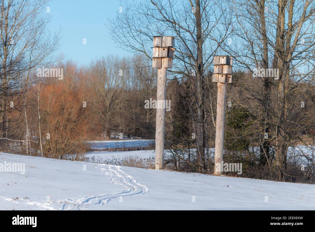 Zwei Türme mit mehreren Vogelhäusern in der Wintersaison Zeit Stockfoto