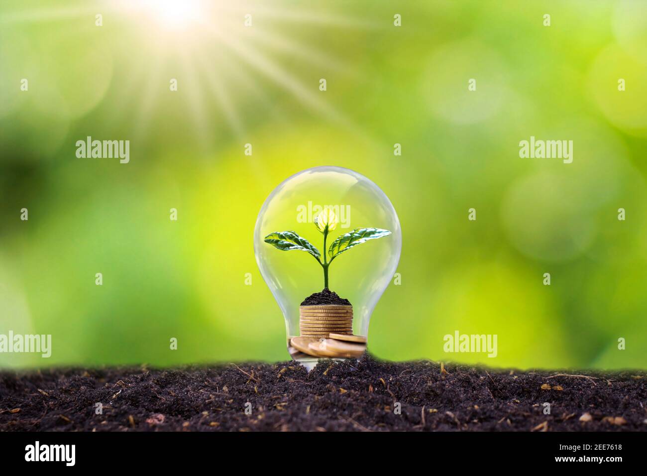 Baum wächst in Glühbirnen, Energiespar- und Umweltkonzepten am Earth Day. Stockfoto