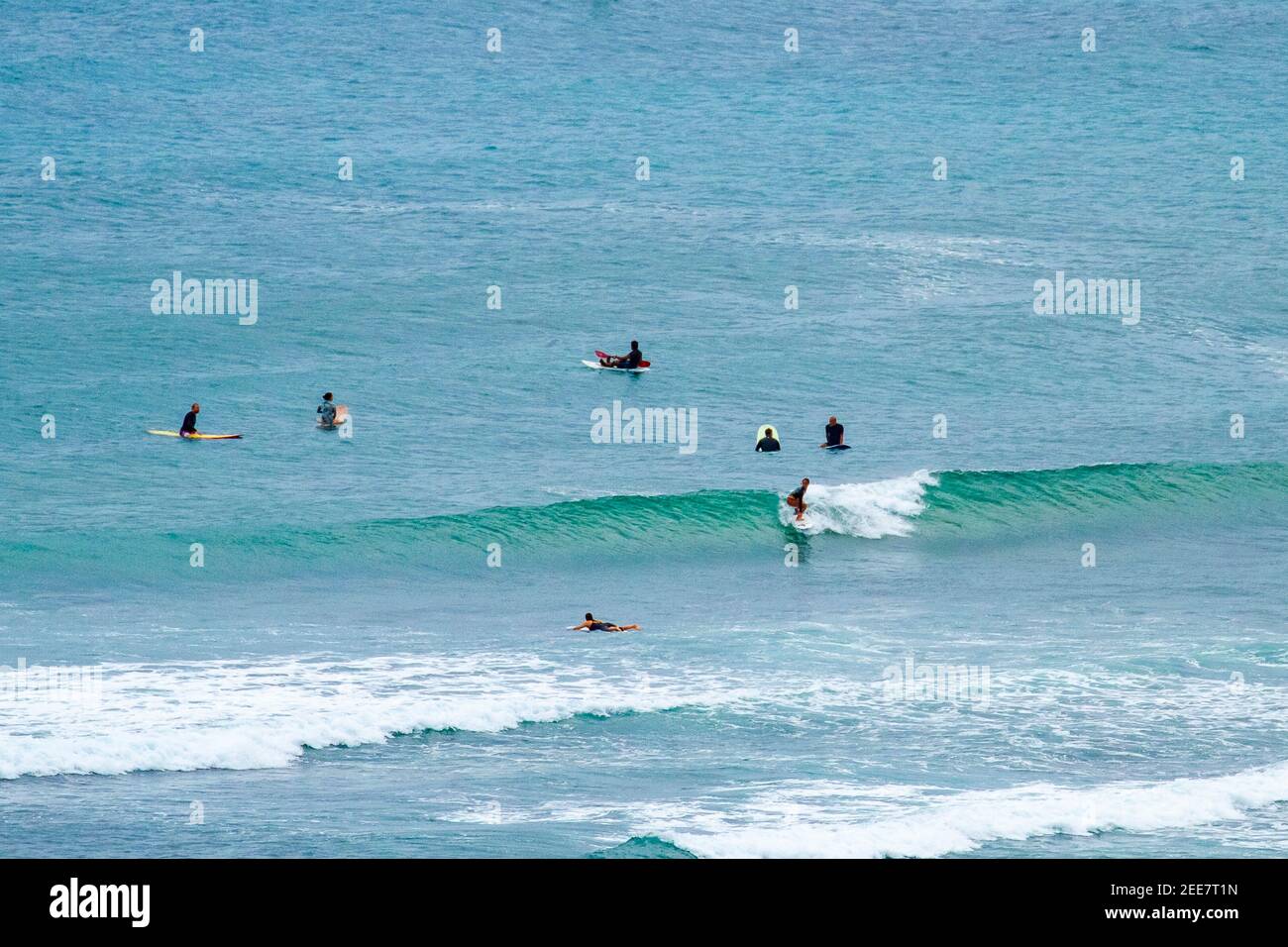 In der Ferne surft eine weibliche Surferin leicht. Waikiki, Hawaii, USA Stockfoto