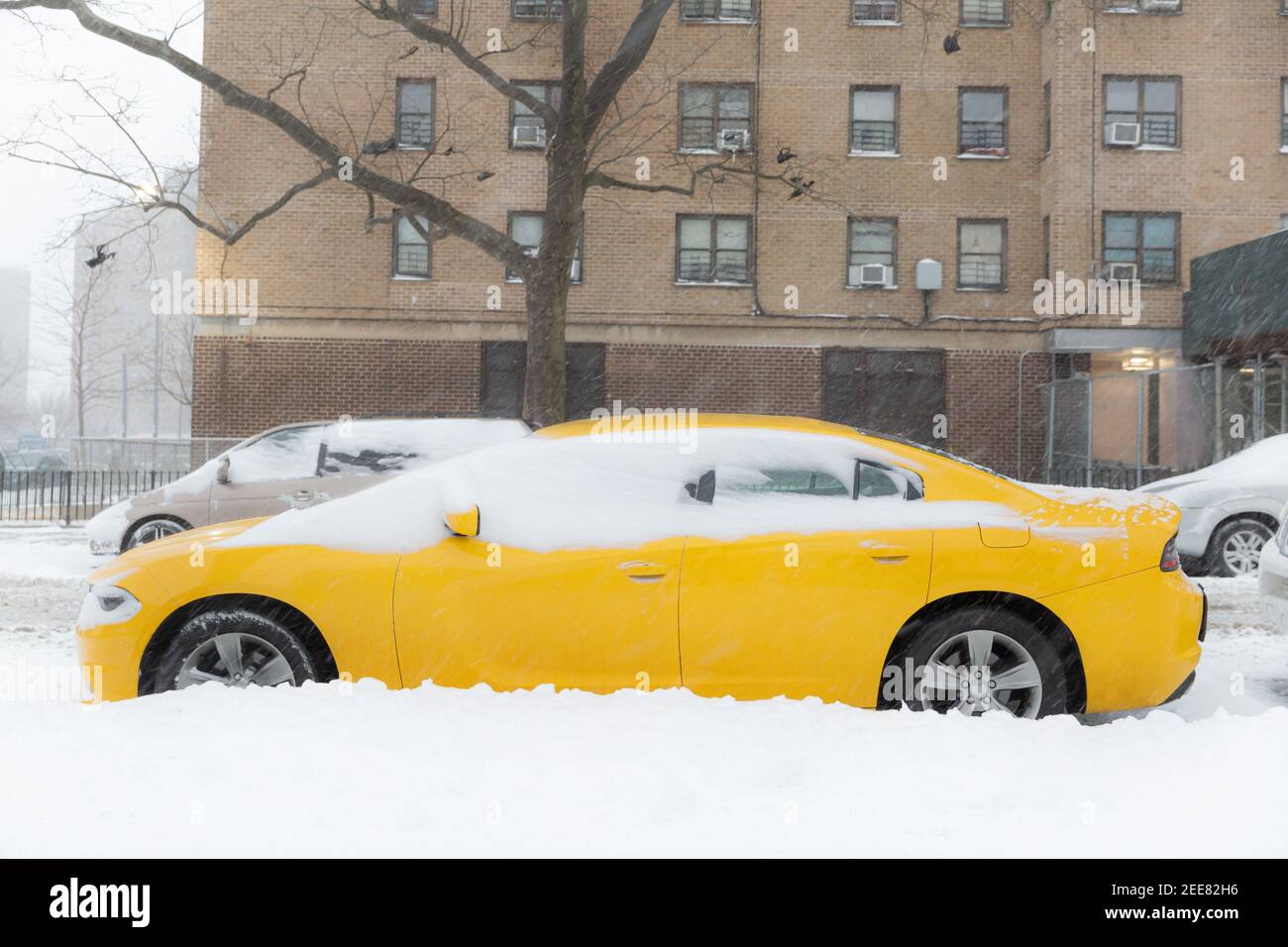 Autos Auf Dem Hof Sind Komplett Mit Schnee Bedeckt. Im Hintergrund