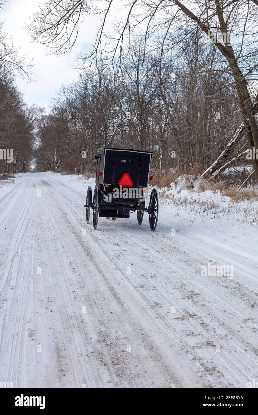 Amish Buggy unterwegs auf der Landstraße, Winter, ländliches Indiana, USA, von James D. Coppinger/Dembinsky Photo Assoc Stockfoto