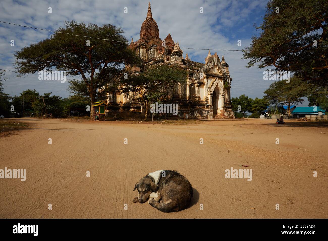 Hund schläft vor der Mokgu Hpaya Pagode, Nyaung U, in der Nähe von Bagan, Myanmar. Stockfoto