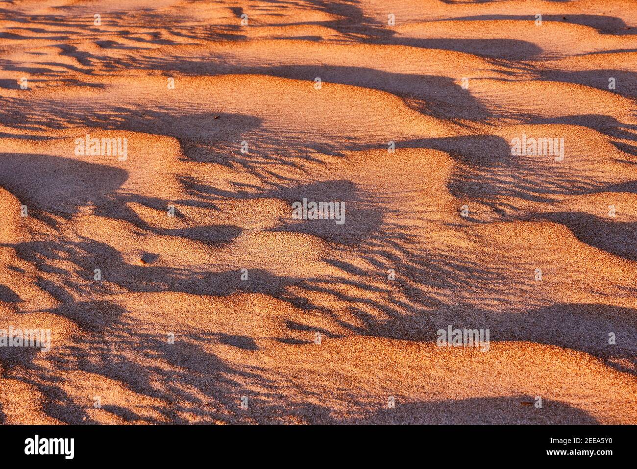 Harmonische Sandlinien in der Wüste bei Sonnenuntergang; bizarre Windmuster im weichen Licht der untergehenden Sonne Stockfoto
