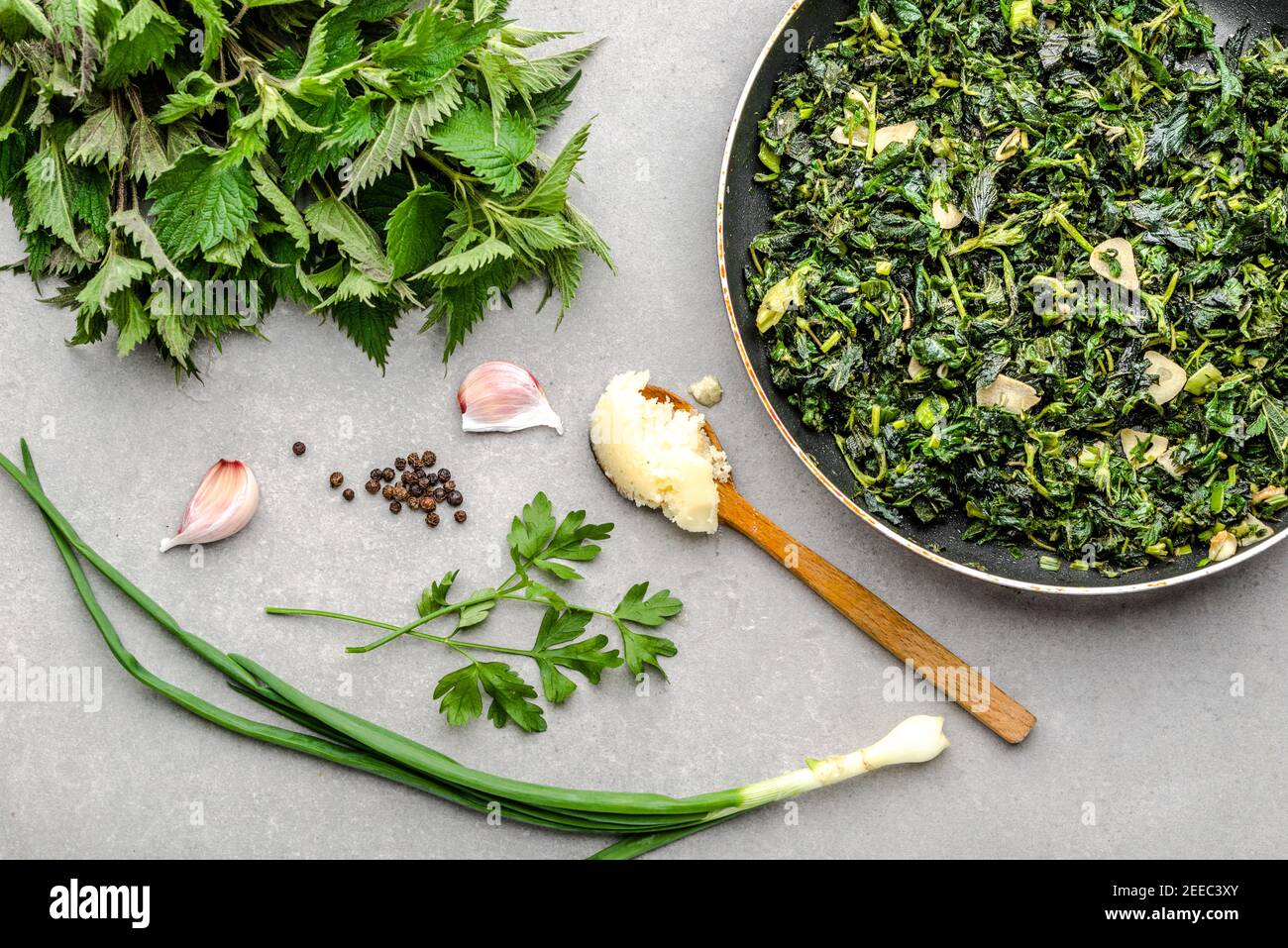 Grüne Brennnessel Stockfotos und -bilder Kaufen - Alamy