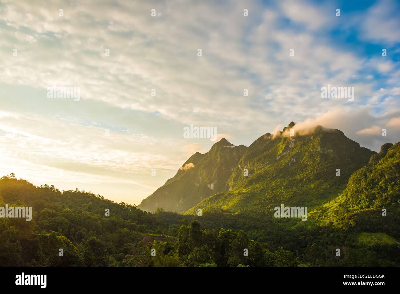 Wunderschöne Naturkulisse von frischen grünen tropischen Bergkette mit Morgensonne - Doi luang chiang dao, Chiang Mai, thailand Stockfoto