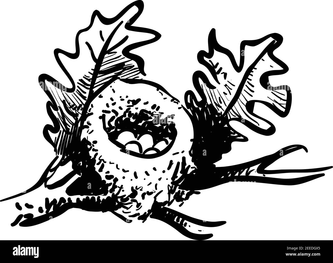 Eier im Nest Stock Illustration , Linienvektor in isolierten weißen Hintergrund Stock Vektor