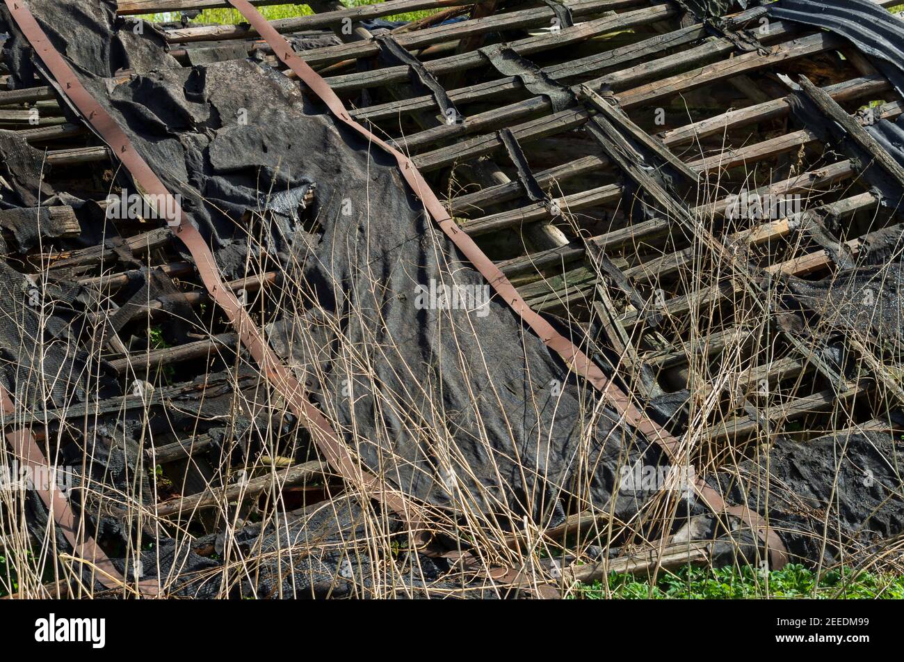 Altes dunkles Dach einer zerstörten Dorfscheune mit Pfetten Unter der Peeling-Beschichtung aus der Nähe Stockfoto
