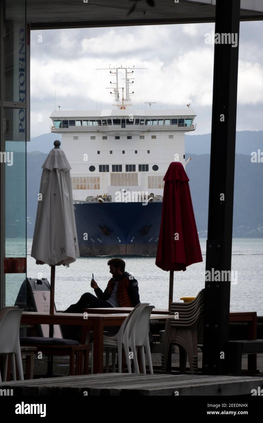 Mann mit Handy im Café mit großem Schiff hinter, Wellington, Nordinsel, Neuseeland Stockfoto