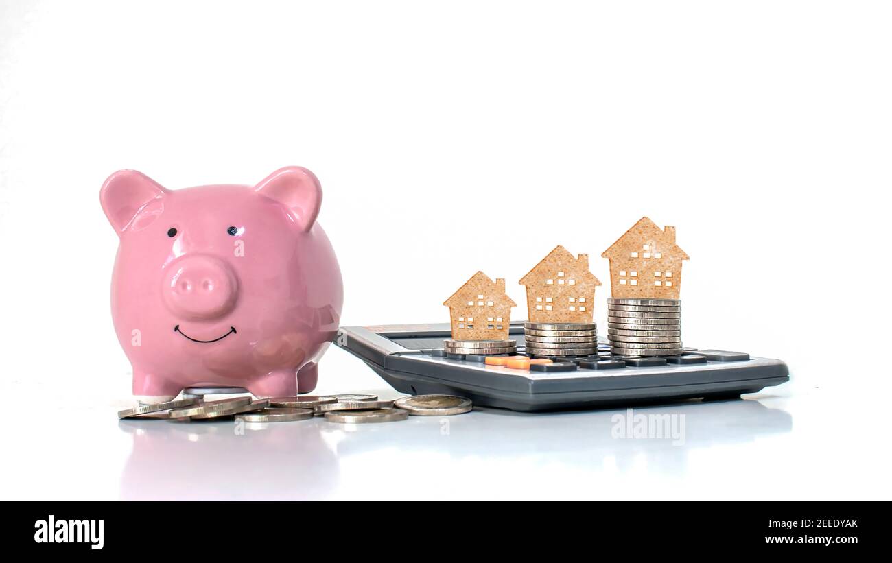 Ein wachsender Baum auf einer Münze in einer energiesparenden Glühbirne, ein Energiesparkonzept und eine umweltfreundliche Welt. Stockfoto