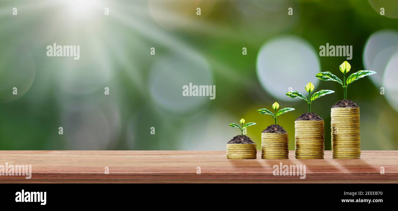 Finanzieller Geschäftshintergrund. Pflanzen von Bäumen auf Münzen und Holzböden. Ideen für finanzielles Wachstum und Investitionen. Stockfoto
