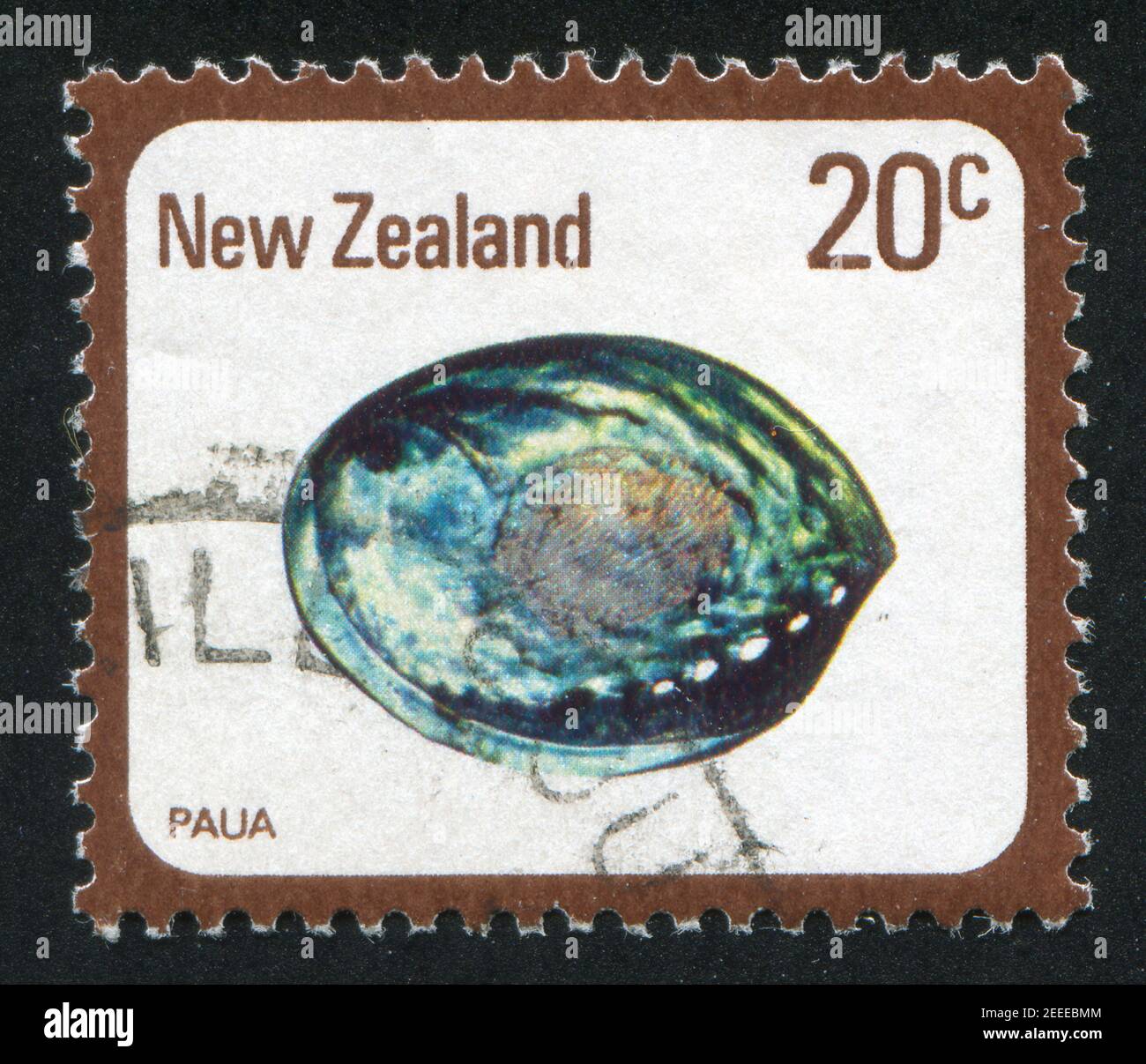 NEUSEELAND - UM 1978: Stempel gedruckt von Neuseeland, zeigt Muschel, Paua, Haliotis Iris, um 1978 Stockfoto