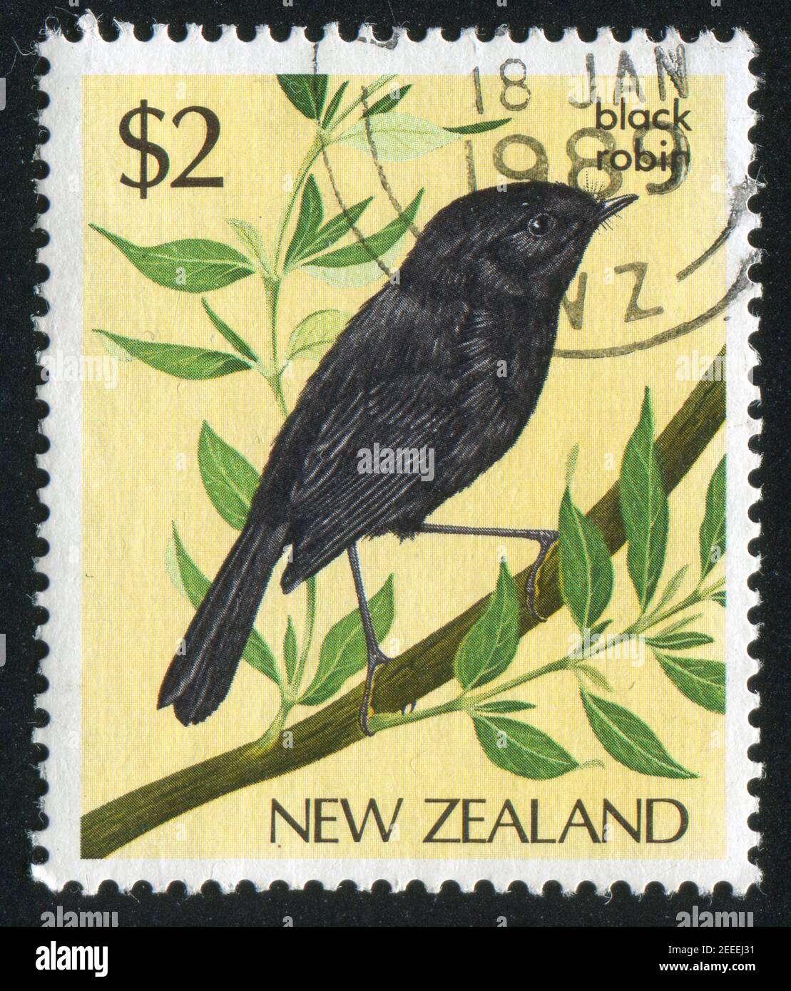 NEUSEELAND - UM 1985: Stempel gedruckt von Neuseeland, zeigt Vogel-Schwarzkehlchen, um 1985 Stockfoto