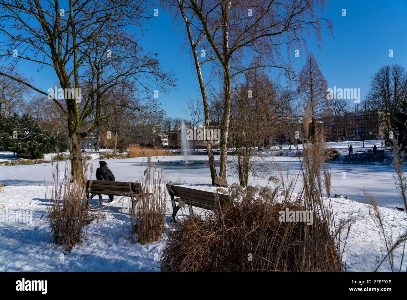 Winterwetter im Ruhrgebiet, Stadtgarten Essen, Stadtpark in der Innenstadt, verschneit, Essen, NRW, Deutschland Stockfoto