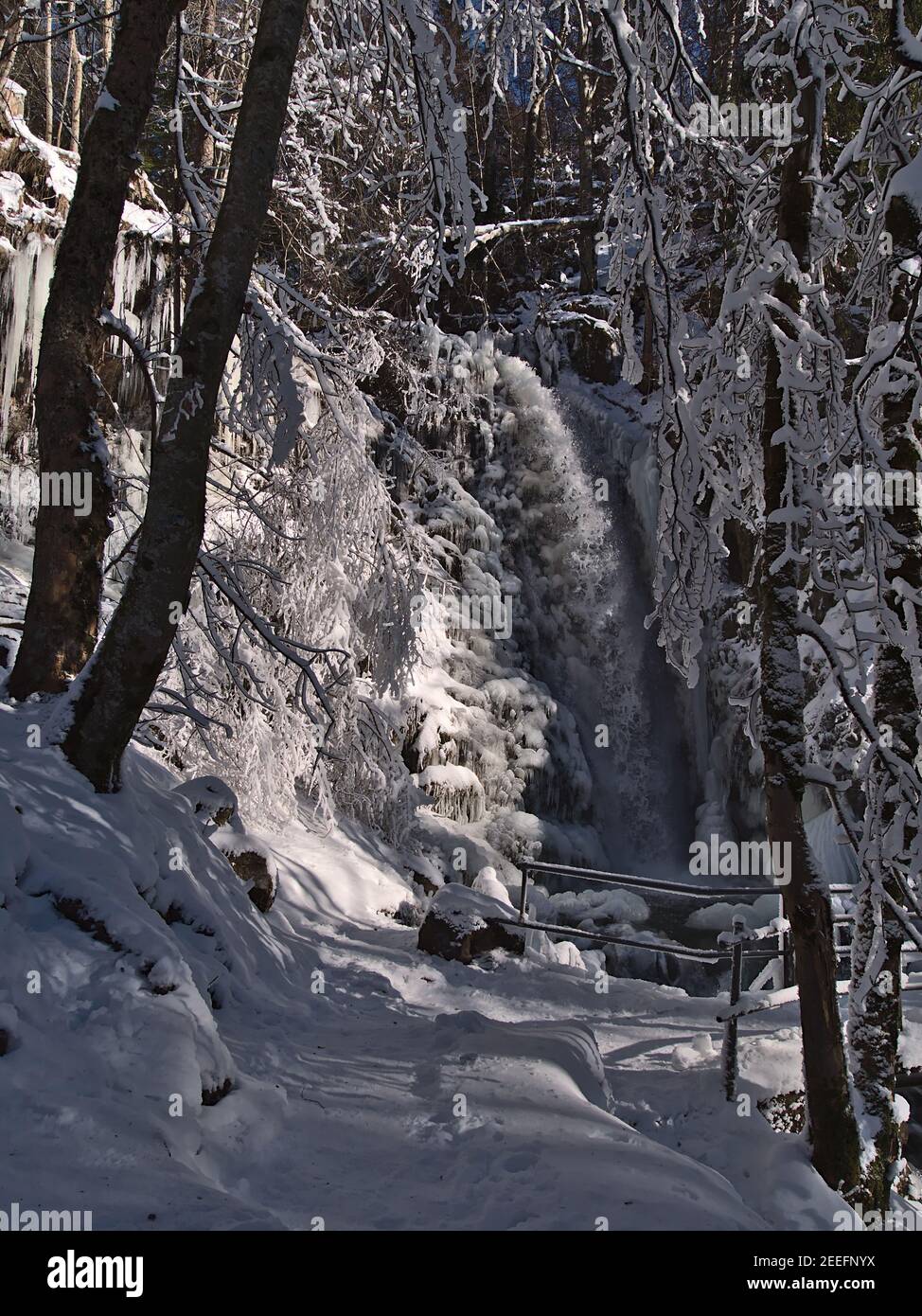 Atemberaubende Winterlandschaft mit Wasserfall Todtnauer Wasserfälle im verschneiten Wald mit gefrorenen Bäumen in der Wintersaison an sonnigen Tagen bei Todtnau. Stockfoto