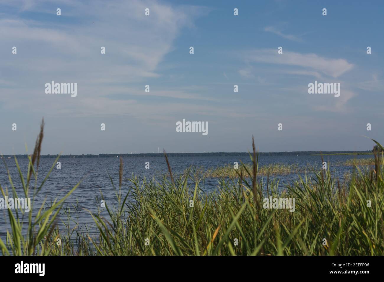 Boddenlandschaft. Blick von der Bucht auf das Meer. Fischland-Darwin-Zingst, in der Nähe von Wieck am Darß Stockfoto