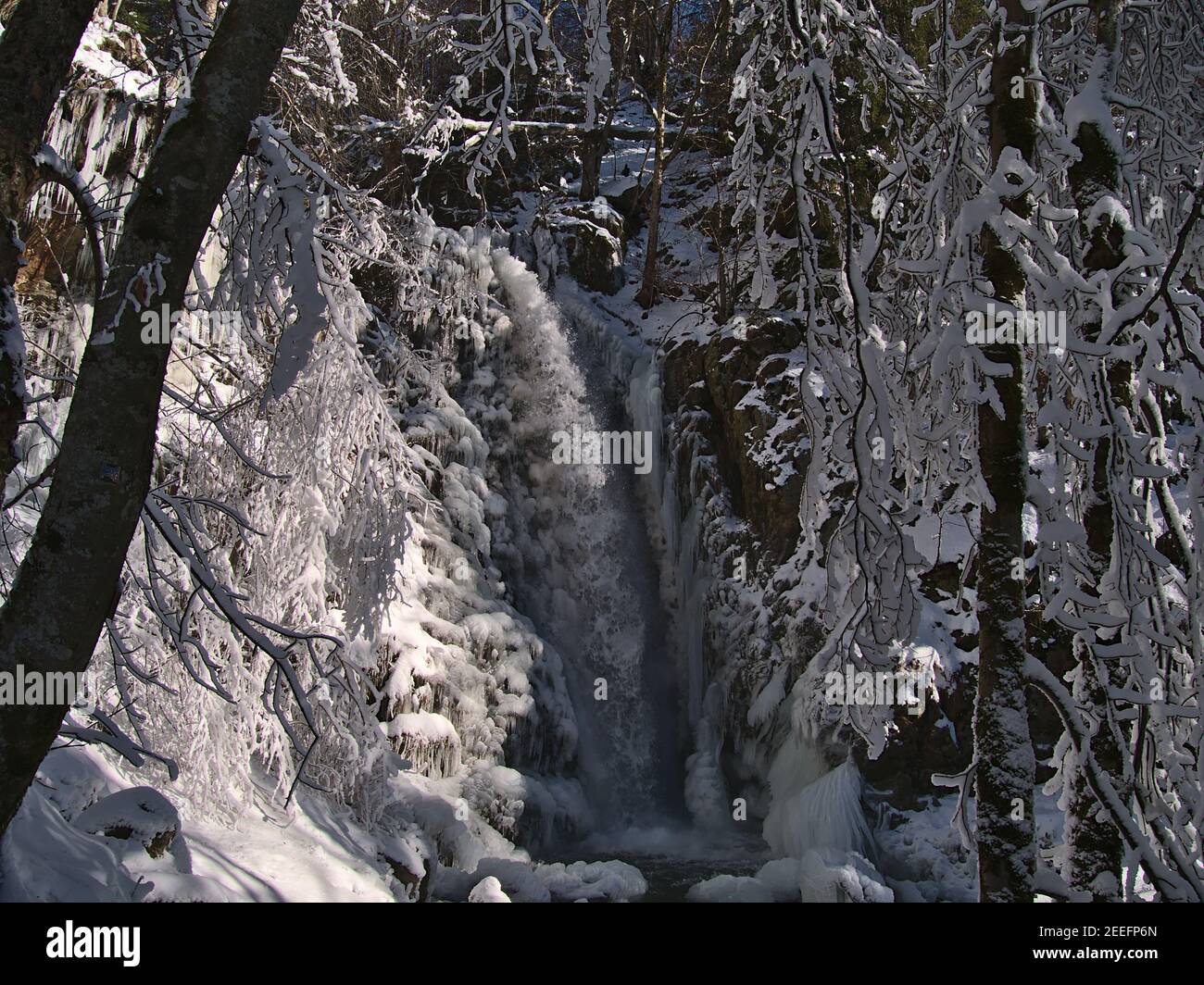 Schöne Winterlandschaft mit Wasserfällen Todtnauer Wasserfälle im Wald von Schnee bedeckt mit gefrorenen Bäumen im Winter an sonnigen Tag. Stockfoto