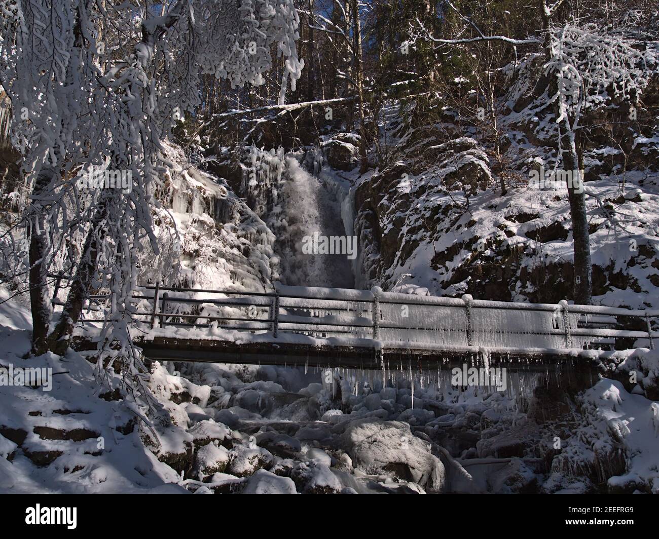 Berühmte Wasserfälle Todtnauer Wasserfälle in der Wintersaison mit vielen Eiszapfen und gefrorenen Brücke umgeben von schneebedeckten Bäumen an sonnigen Tagen. Stockfoto