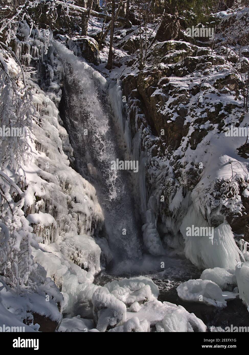 Bizarre Winterlandschaft mit Wasserfall Todtnauer Wasserfälle zwischen gefrorenen Felsen mit Eiszapfen und schneebedeckten Bäumen an sonnigen Tagen bei Todtnau. Stockfoto