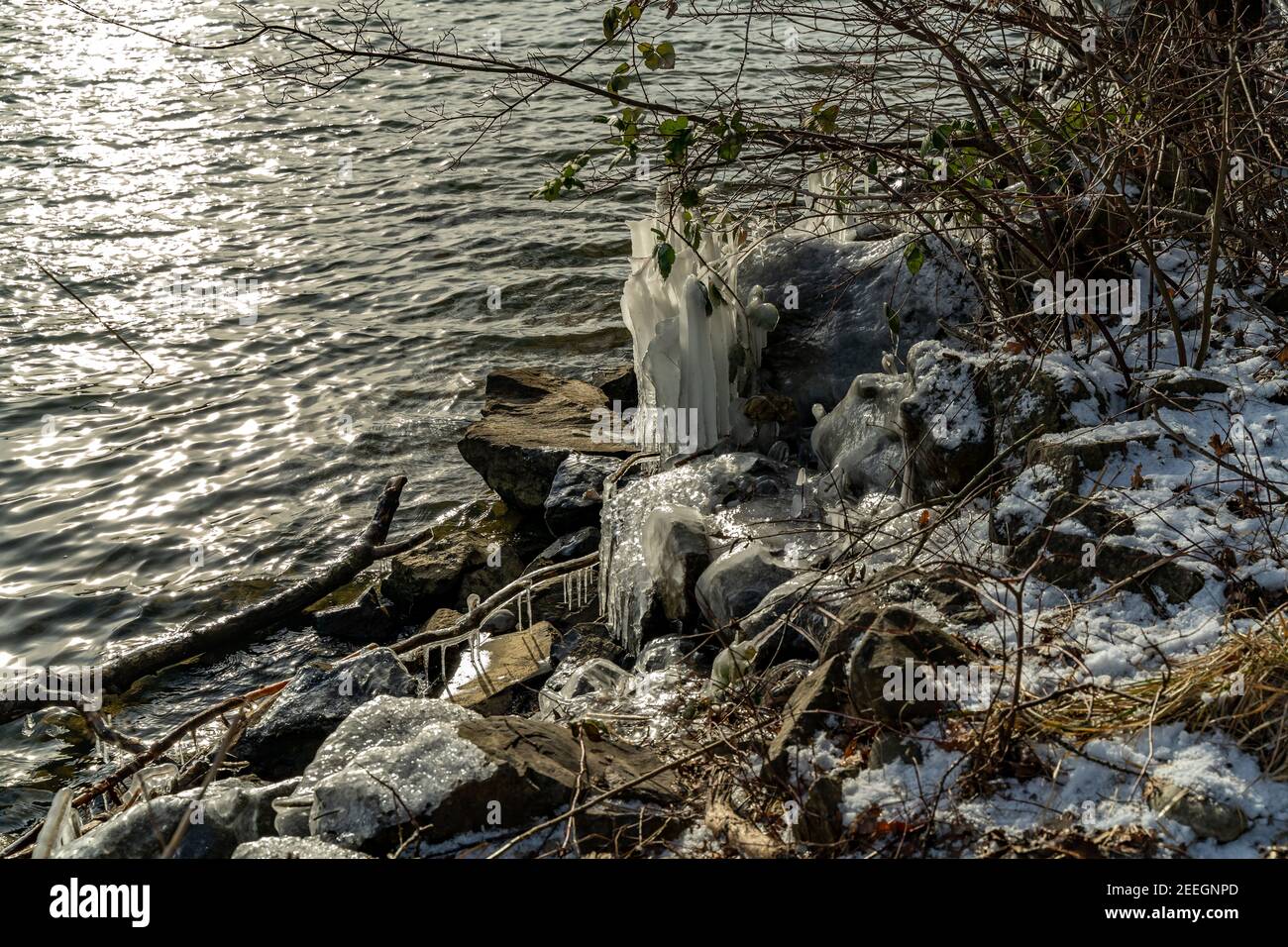 Winterkälte macht Eisskulpturen am Ufer des Bodensees mit Schilf, Büschen und Bäumen. Eisskulpturen am Bodensee, Schleienlöcher Hard Österreich Stockfoto