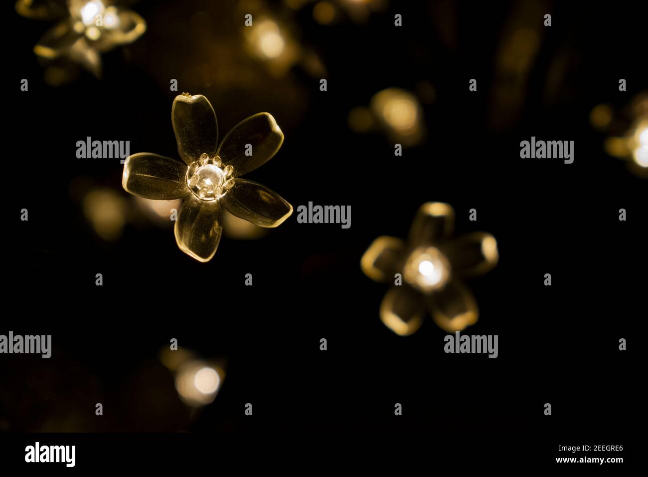 Blumen Stockfoto