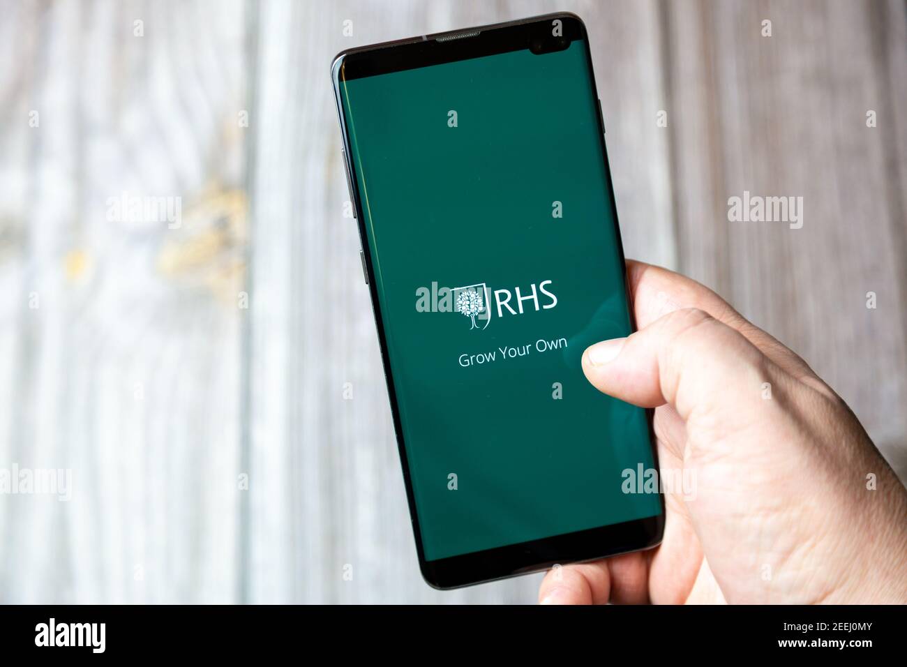Ein Mobiltelefon oder Mobiltelefon, das in einem gehalten wird Hand mit der RHS-App auf dem Bildschirm geöffnet Stockfoto