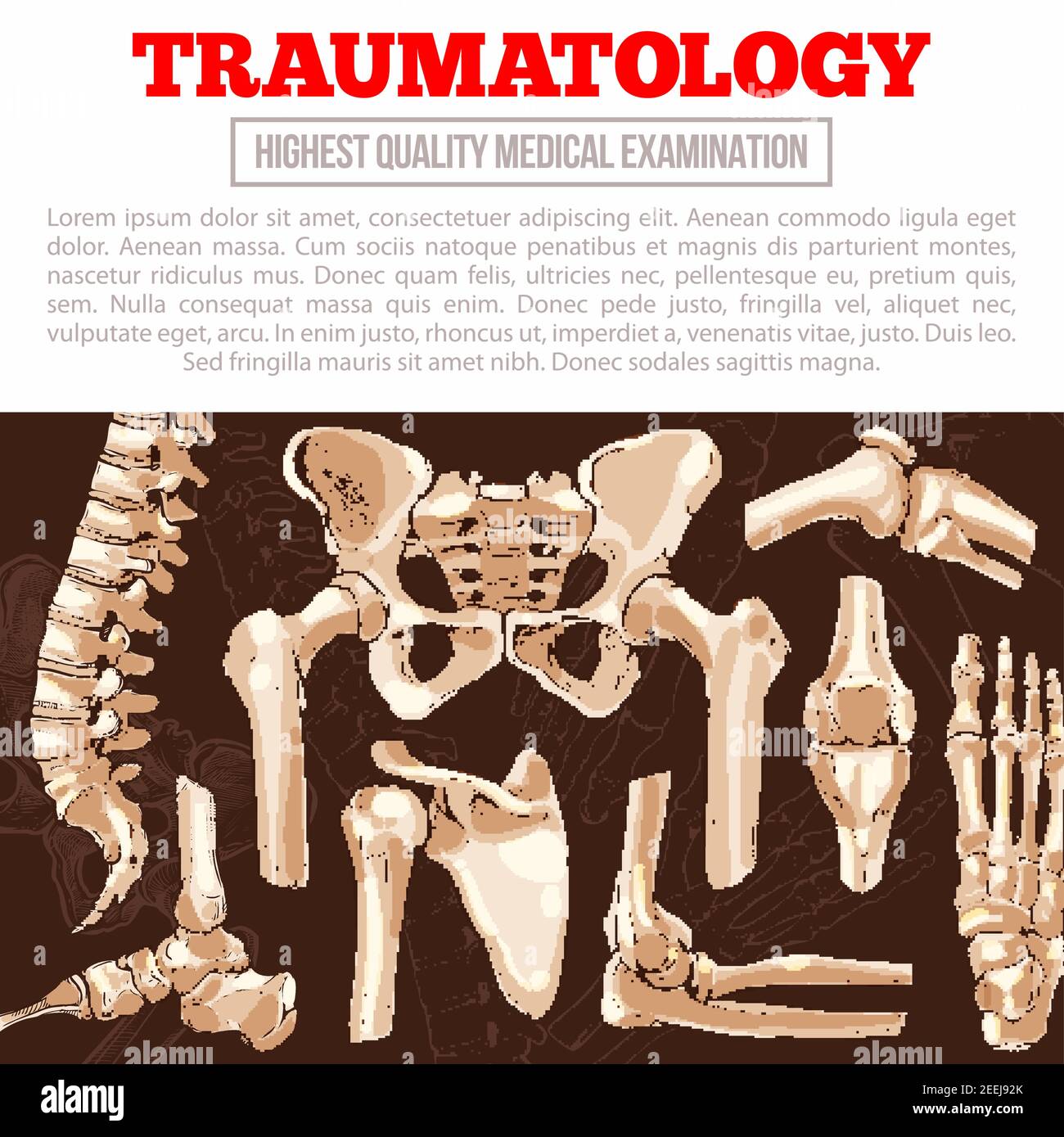 Poster-Vorlage für Traumatologie-Medizin. Knochen und Gelenk des menschlichen Skeletts Banner mit Hand und Bein, Knie, Hüfte, Fuß, Wirbelsäule, Ellbogen, Finger, Becken, Shoul Stock Vektor