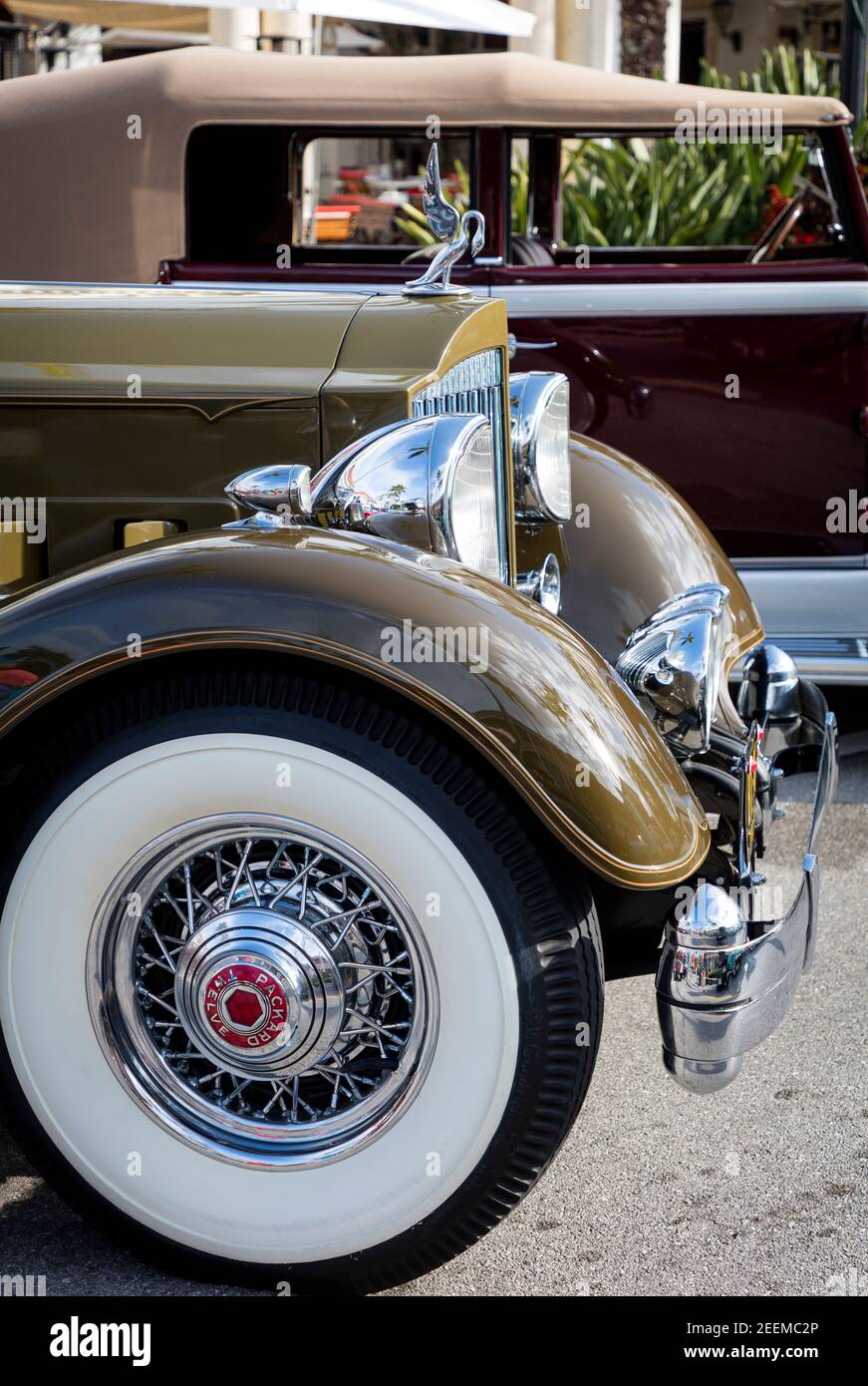 1933 und 1934 Packard 'Twelves' auf der Ausstellung 'Cars on Fifth' - Naples, Florida, USA Stockfoto