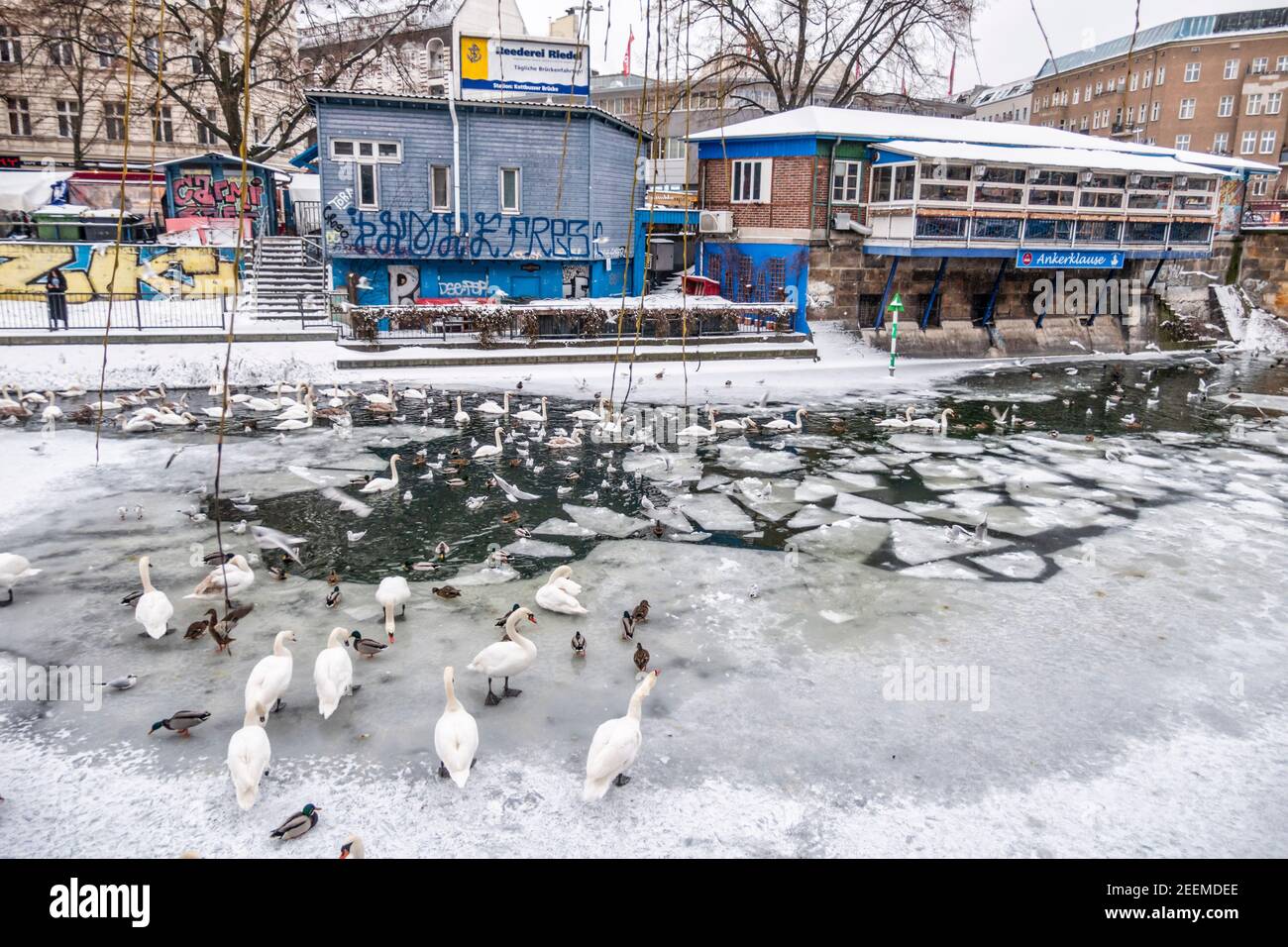Landwehrkanal im Winter, Wintereinbruch im Februar 2021, Vögel auf dünner Eisschicht , Berlin Stockfoto