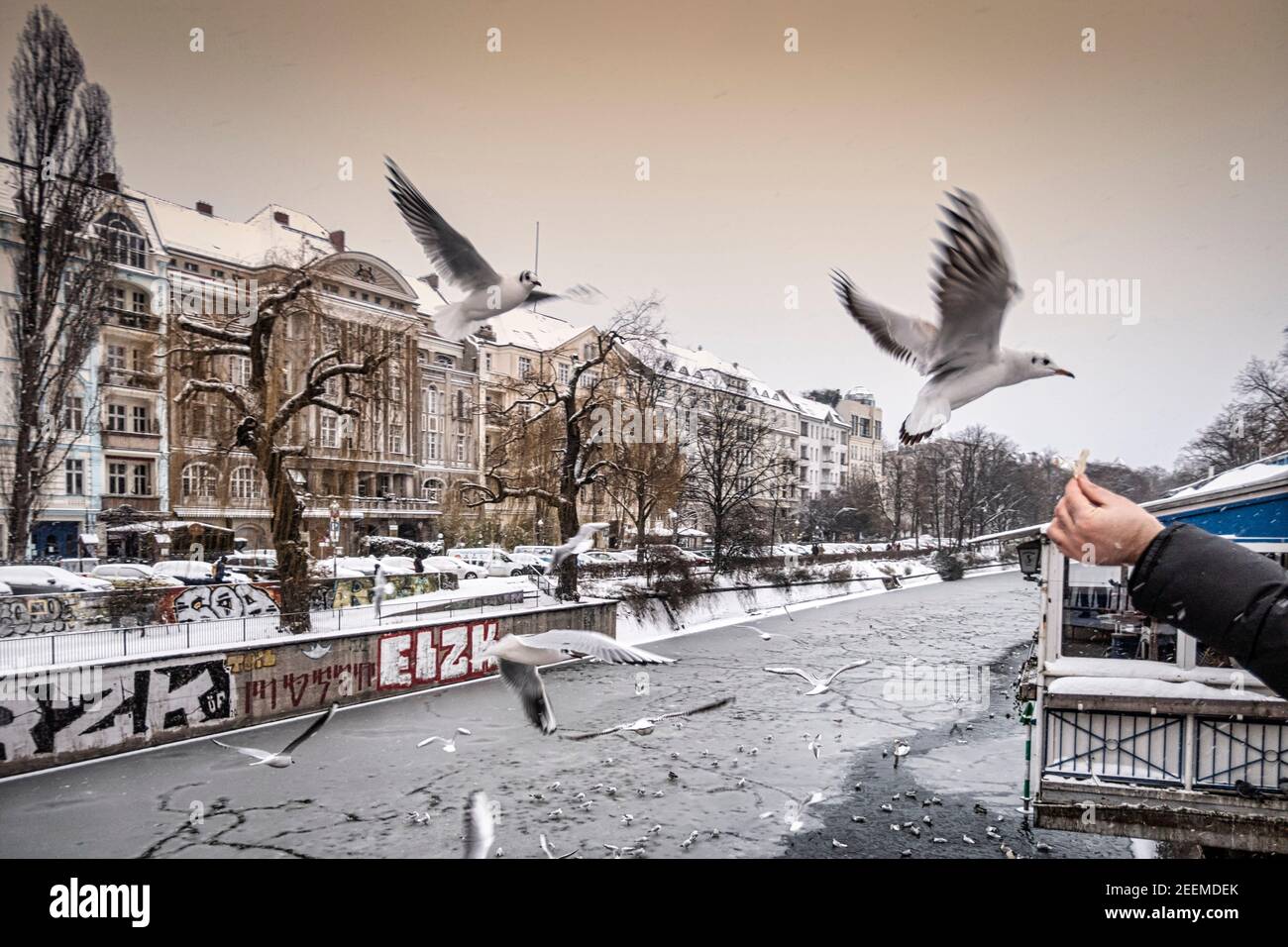 Landwehrkanal im Winter, Wintereinbruch im Februar 2021, Fütterung von Vögeln, Berlin Stockfoto