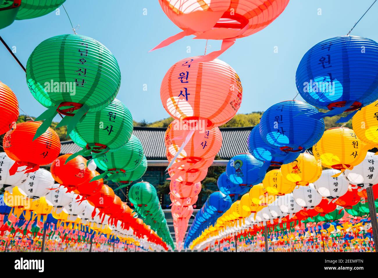 Bunte Laternen am Gakwonsa Tempel in Cheonan, Korea Stockfoto