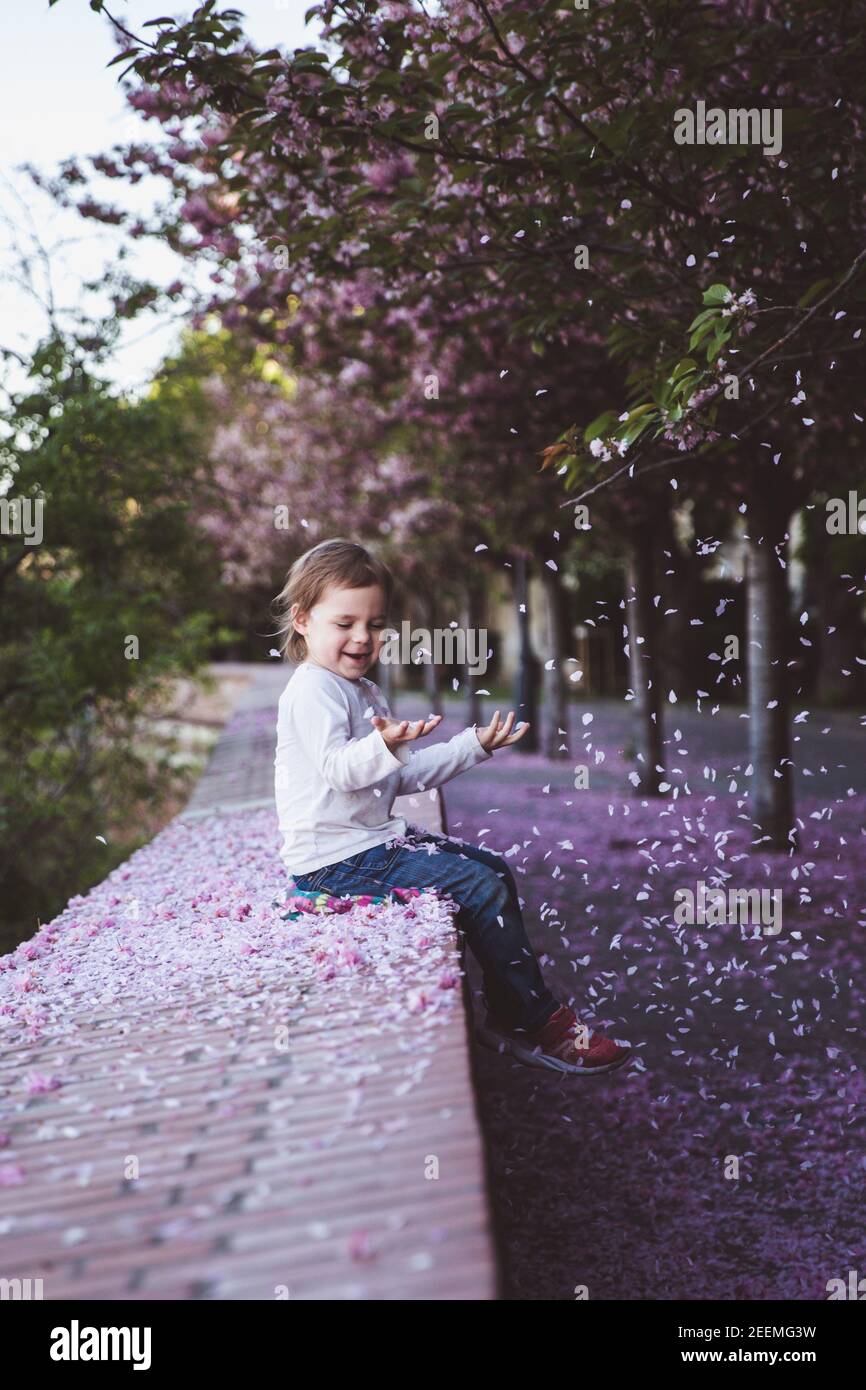 Schönes Mädchen 5 y.o. sitzen im Kirschblütenpark an einem Frühlingstag, Blütenblätter fallen vom Baum in Budapest, Ungarn Stockfoto