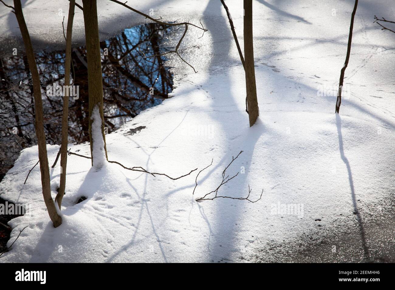 Wald deutschland winter Fotos und Bildmaterial in hoher Auflösung Alamy