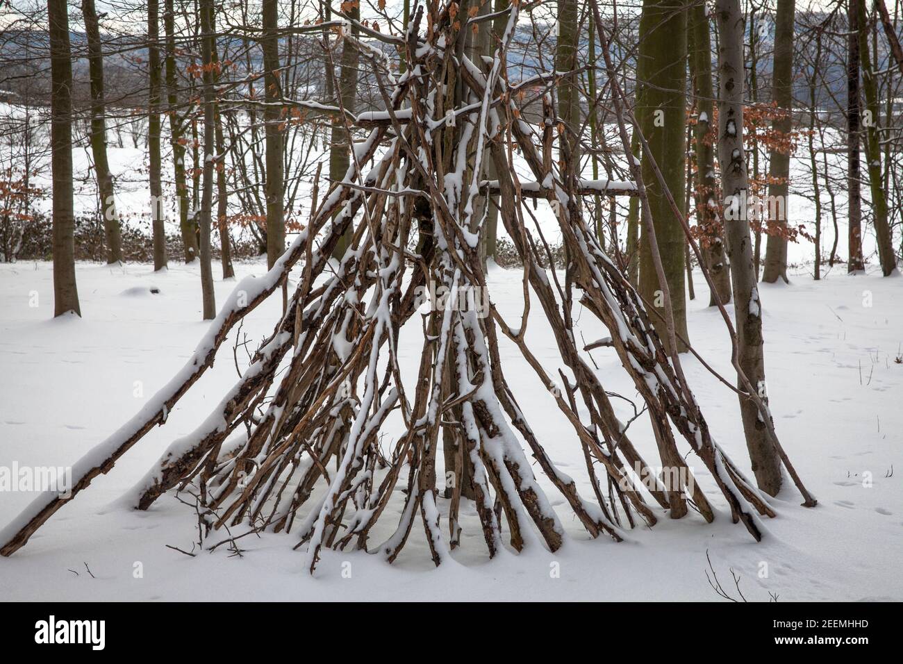Zweighütte in einem verschneiten Wald am Kaisberg in Hagen-Vorhalle, Hagen, Nordrhein-Westfalen, Deutschland. Asthuette im Schneidenwald am Kaisbe Stockfoto