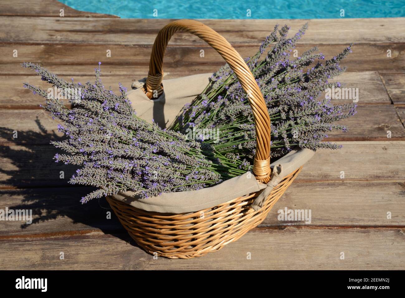 Gewebte oder Wicket Korb mit Lavendel Blumen Stockfoto