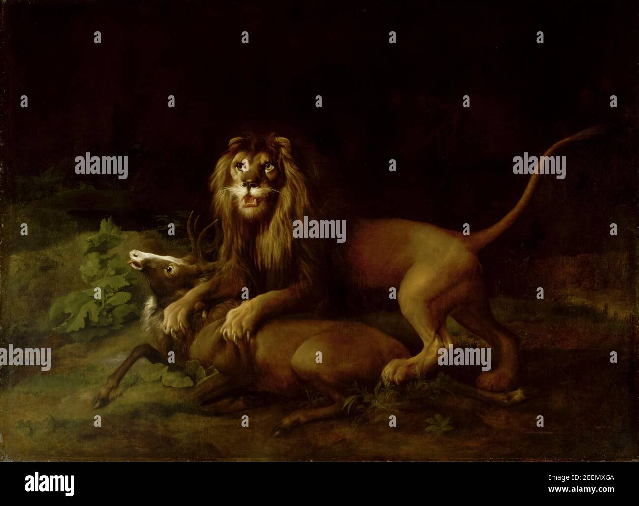 Ein Löwe, der einen Hirsch angreift, Gemälde von George Stubbs, 1765-1766 Stockfoto