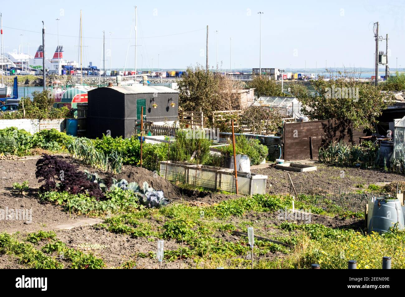 Einst die Zuflucht des arbeitenden Mannes, wo er Gemüse anbauen konnte, um seine Familien Mahlzeiten zu ergänzen, jetzt beliebt bei Gartenbauern aus allen Gesellschaftsschichten. Stockfoto