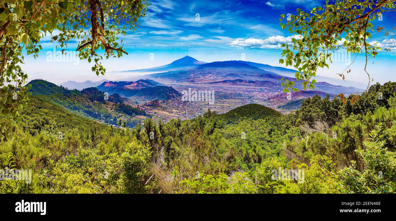 Malerische Berglandschaft.Kaktus, Vegetation und Sonnenuntergangspanorama auf Teneriffa. Masca-Tal.Kanarische Insel.Teneriffa.Spanien Stockfoto