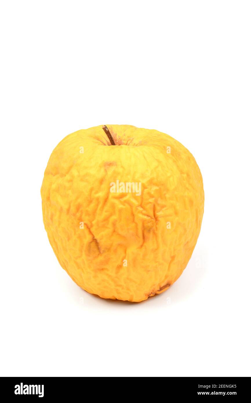 Gelber faltiger Apfel isoliert auf weißem Hintergrund, geschrumpfter Apfel Nahaufnahme, alte Haut Konzept. Hochauflösendes Foto. Volle Schärfentiefe. Stockfoto