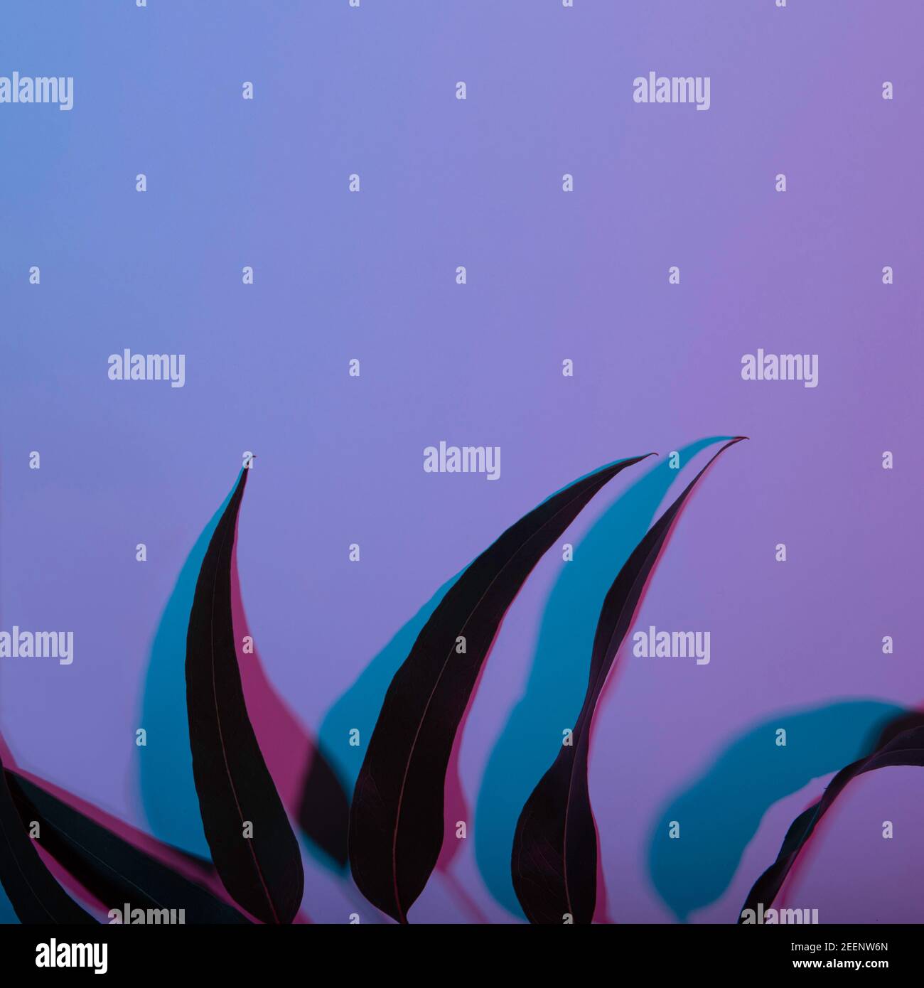 Kopieren Raum Hipster Hintergrund mit Neon-Farben Stockfoto