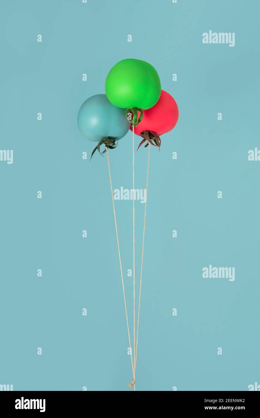 Baumtomate Neonfarben fliegen wie Ballons. Einfaches kreatives Konzept. Blauer Hintergrund Stockfoto