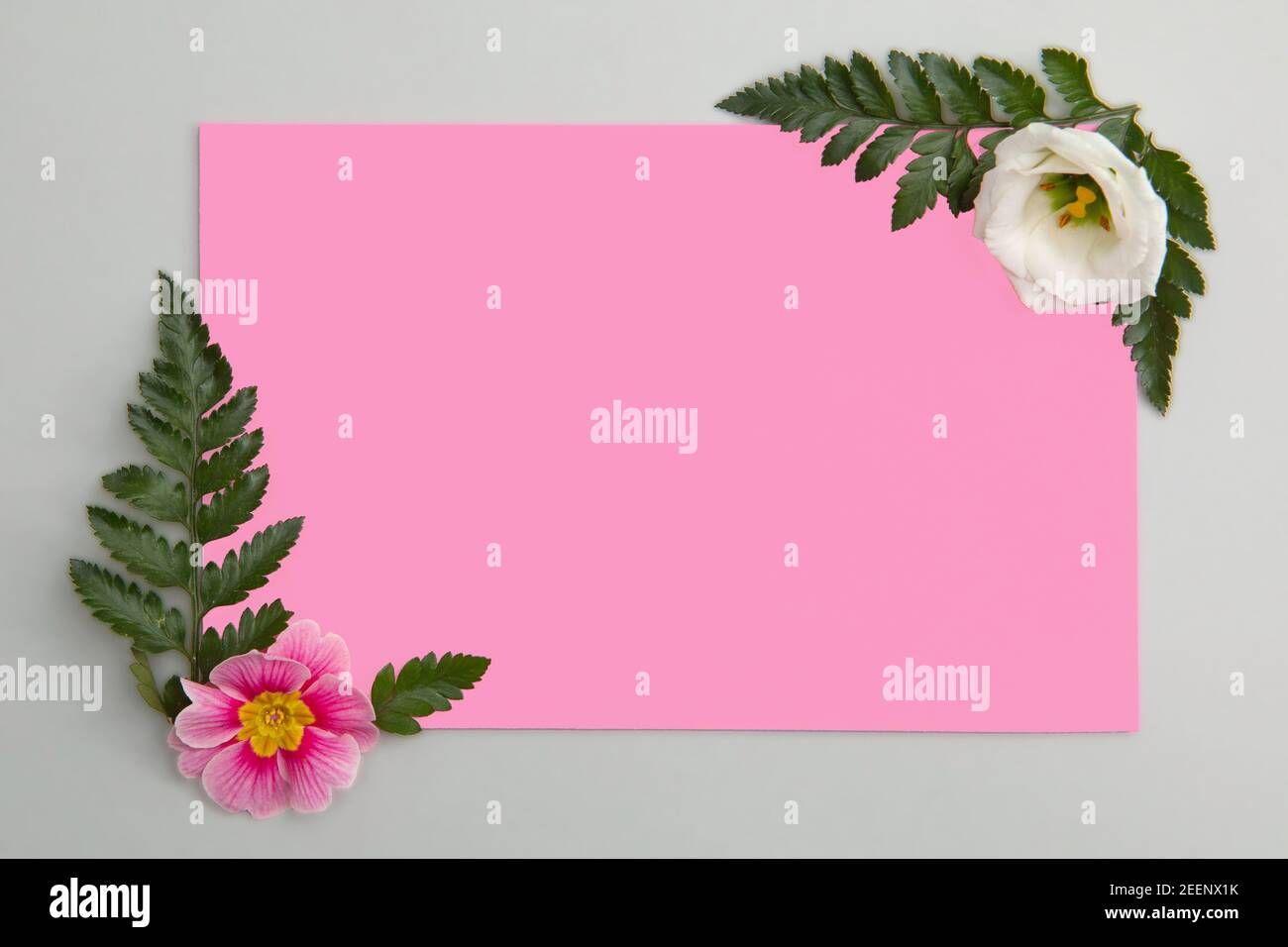 Pink Copy Raum mit Blumen, Frühling vibes flach Lay-Konzept Stockfoto