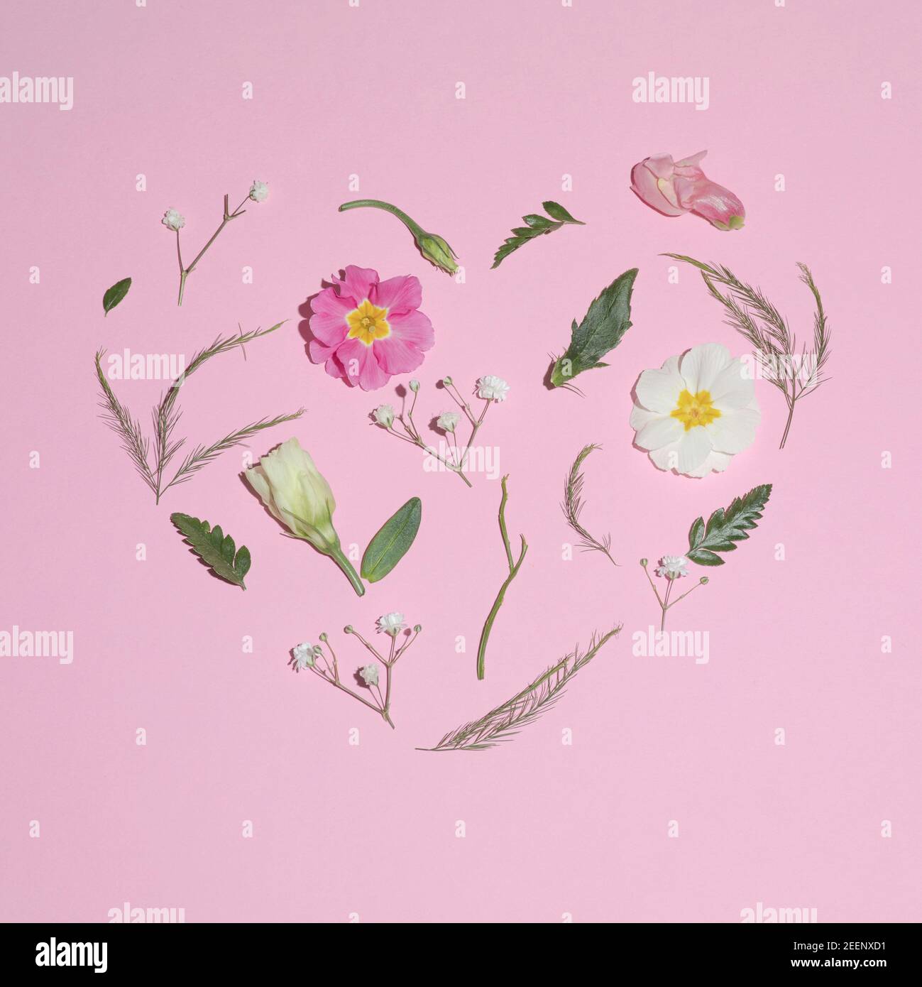 Der Frühling kommt in Herzform. Flat Lay-Konzept auf rosa Hintergrund Stockfoto