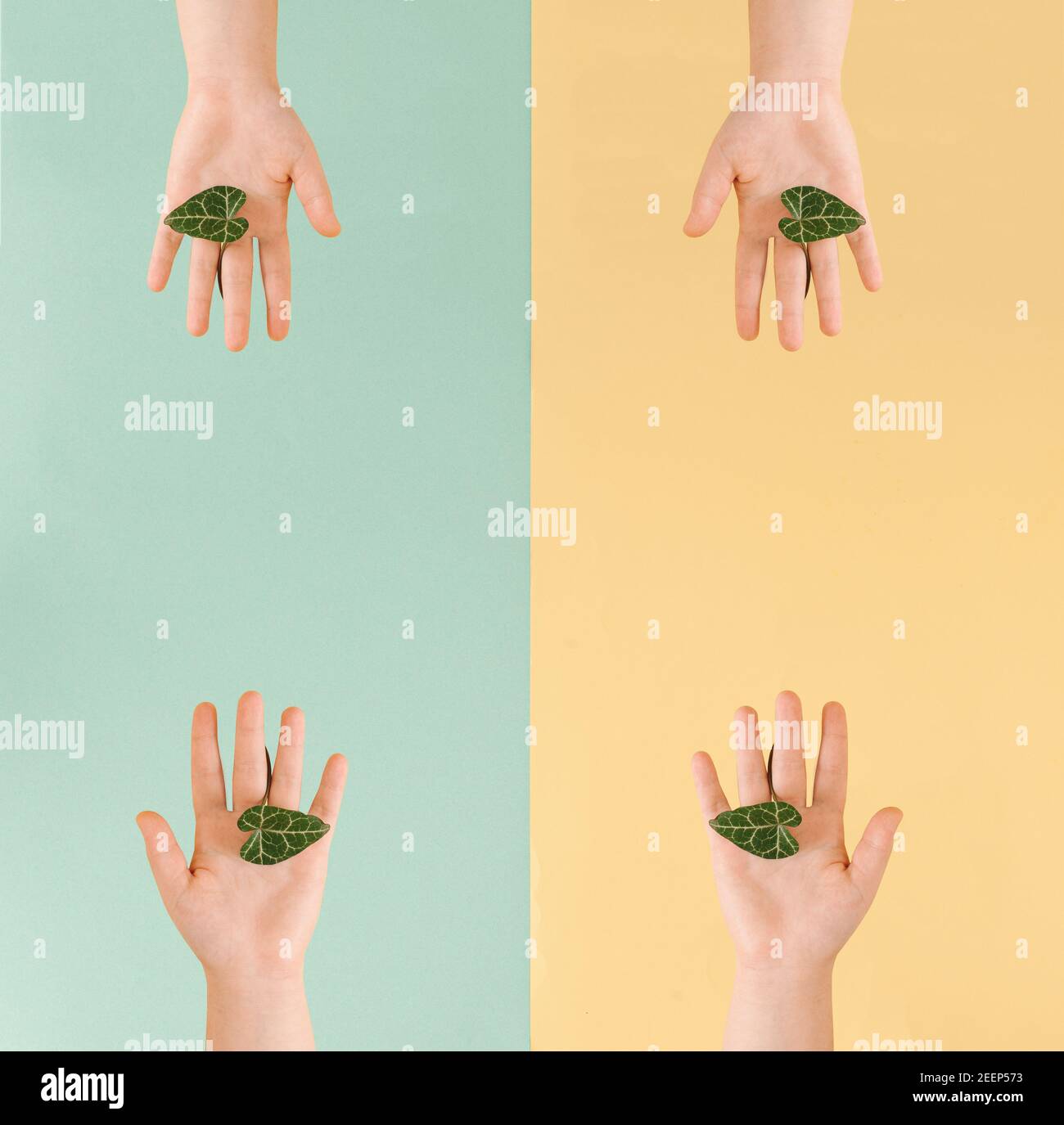 Kreative Komposition mit Händen, die ein grünes Blatt auf der Handfläche über gelben und grünen Hintergrund hält. Minimalkonzept näher an der Natur und f sein Stockfoto
