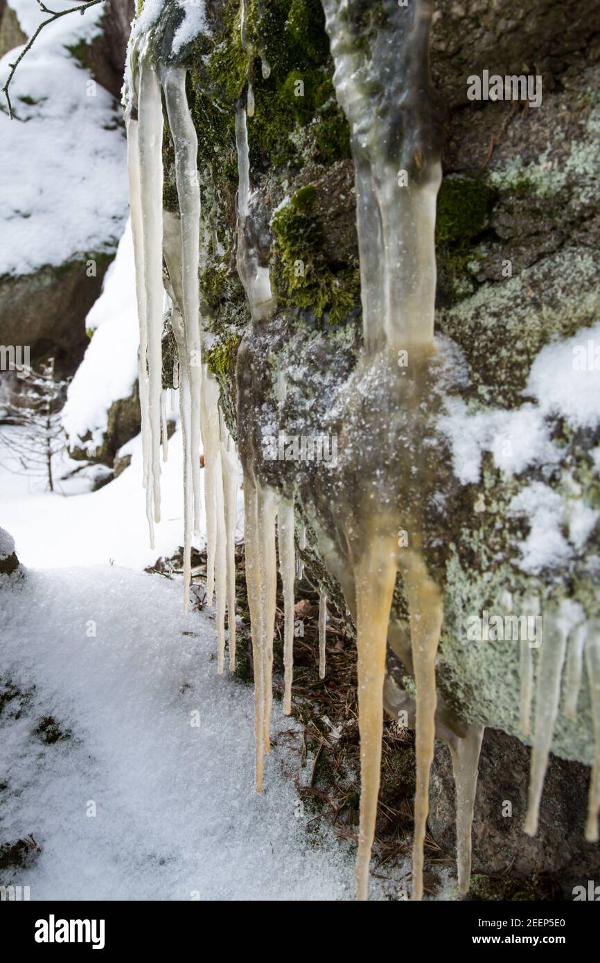 Eiszapfen - Waldviertel, Winter Stockfoto