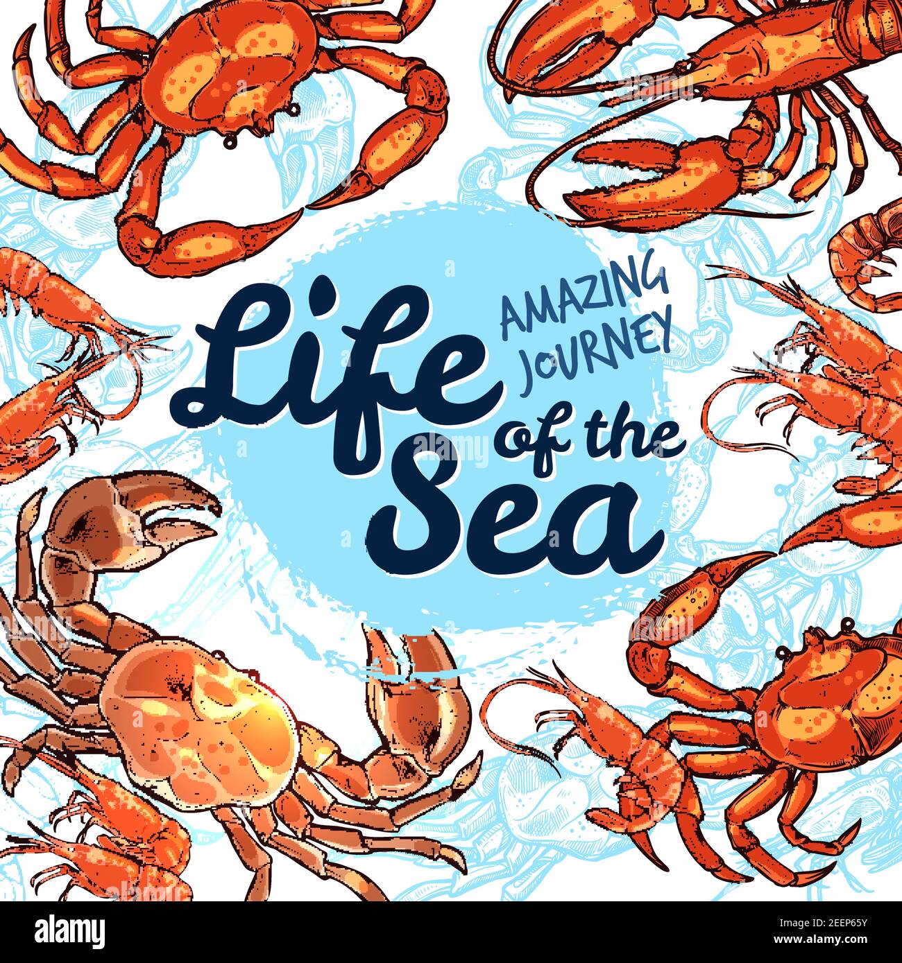 Sea Life erstaunliche Reise Poster für Angeln oder Ozeanarium Unterwassertour. Vektor Skizze Design von Hummerkrabben oder Krebstiere Tiere, Garnelen Garnelen Stock Vektor