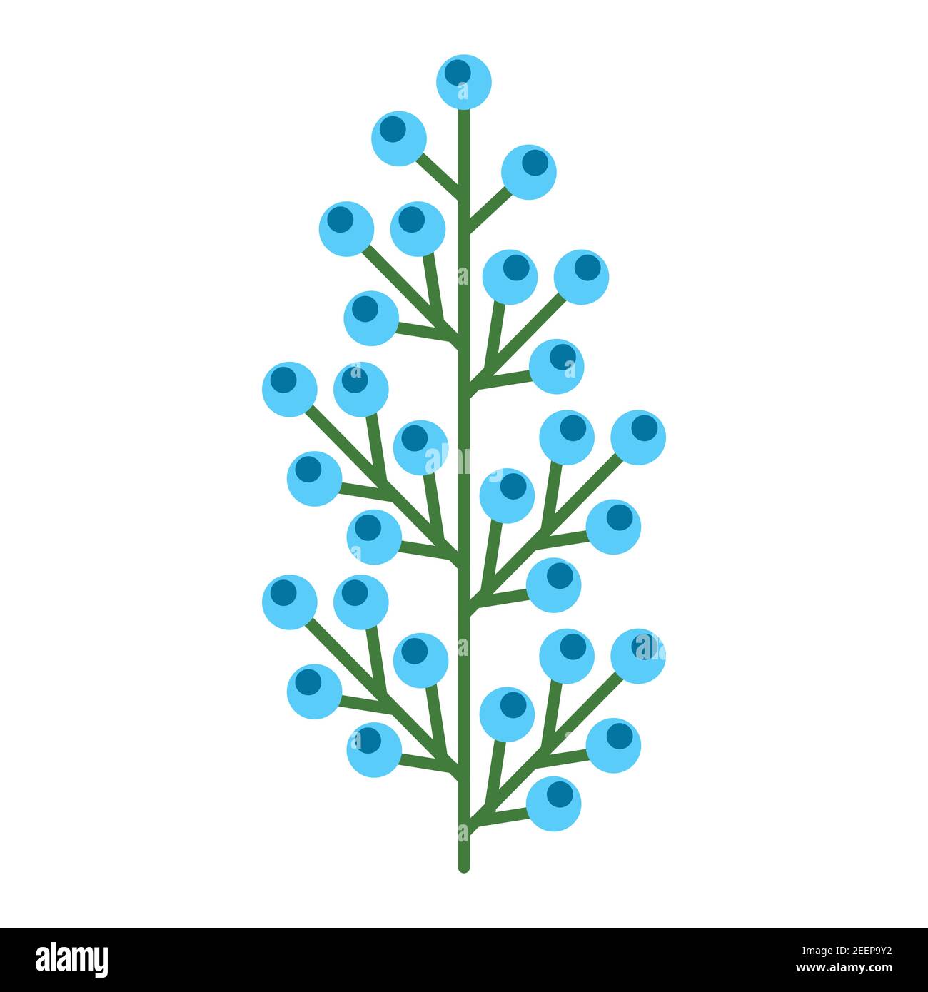 Einfacher minimalistischer leuchtend grüner Zweig mit blauen Beeren. Blume Sammlung von bunten Pflanzen für saisonale Dekoration. Stilisierte Symbole der Botanik. Stock Vektor